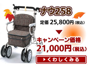 �ʥ�258