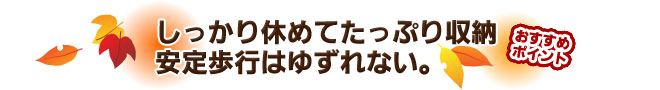 しっかり休めてたっぷり収納安定歩行はゆずれない