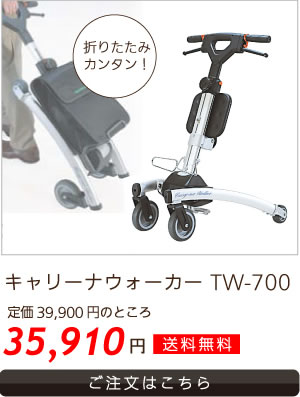 ������Υץ쥼��ȡ�����꡼�ʥ��������� TW-700 ����С���������