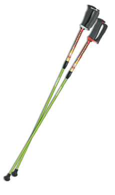 REVITA（レビーター）1S ポール・ウォーキング専用ポール