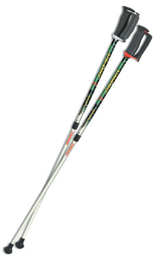 REVITA（レビーター）3 ポール・ウォーキング専用ポール