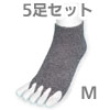 �ؤ̤��򹯥��å��� 5­���å� 23��25cm