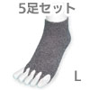 �ؤ̤��򹯥��å��� 5­���å�  25��27cm