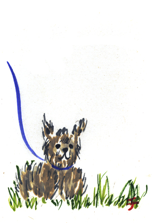 犬