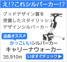 ���åɥǥ�����޼��ޡ���������å���Ǥ��ä���������С�������
