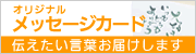 ���ꥸ�ʥ��å����������ɥ����ӥ���