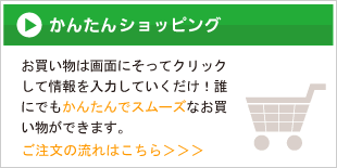 ���󤿤󥷥�åԥ�