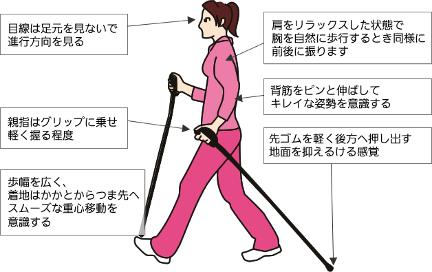 自然なウォーキングスタイルが基本です。