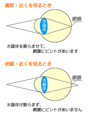 老眼のしくみ