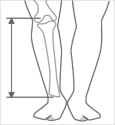 大腿骨下部の突起部から踝（くるぶし）までの長さのこと
