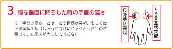 腕を垂直に降ろしたときの手首の高さ