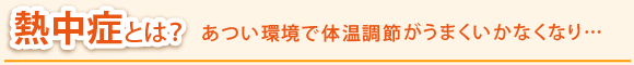 熱中症とは？あつい環境で体温調節がうまくいかなくなり・・・