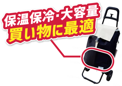 ショッピングカート バイカラーWのイメージ