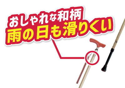 和彩 花鳥風月 伸縮杖のイメージ