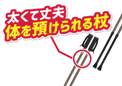 強度の高いしっかり安心2本杖（2本組）のイメージ
