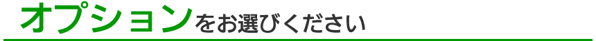 オプションをお選びください