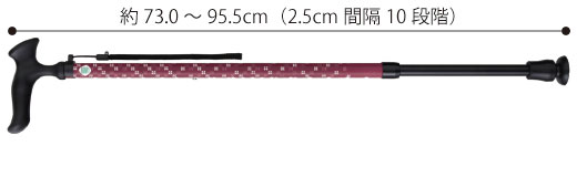サイズ