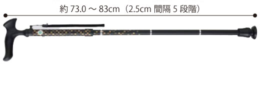 サイズ