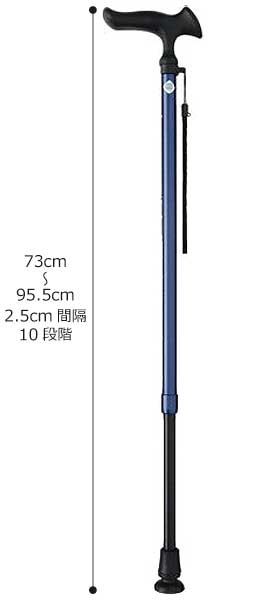 サイズ