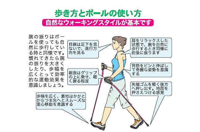 ウォーキングポール ショートタイプ（女性向け）歩き方とポールの使い方