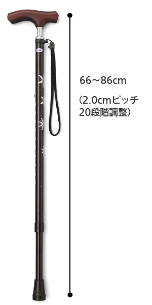 サイズ