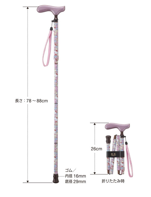 サイズ