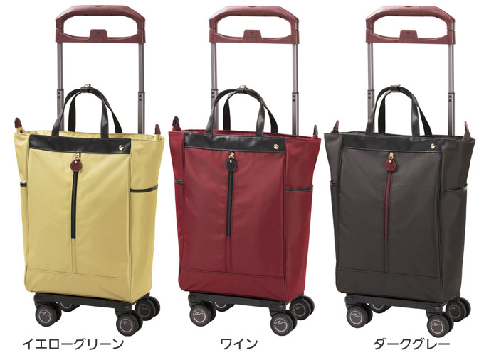 ソエルテ スーツケース アルディート 20L 43 cm 2.2kg ダークグレー