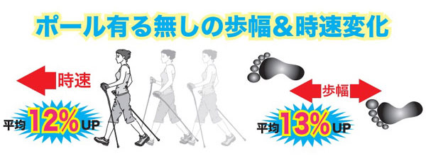 キザキ 歩ミングポール 2段コマ式伸縮ポール 2本1組 APAI-202｜ウォーキング用ポール｜介護用品の通販・販売店【品揃え日本最大級】-  快適空間スクリオ