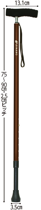 サイズ