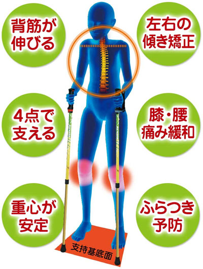 シナノ あんしん二本杖 安心2本杖 転倒予防 長さ80～114cm 身長目安130cm～181cmの説明