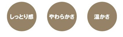 立ち上がり補助手すり ルーツHS スモールタイプ MNTPMT1