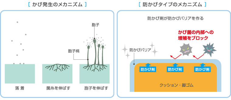 拭くだけでかびの増殖を抑制