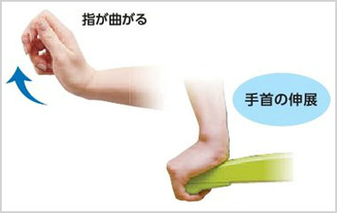 腱(けん)固定作用とは
