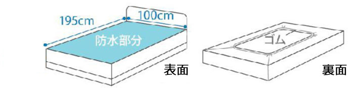 X[p[fjV[c {bNX^Cv 100~195cm@2217