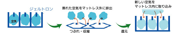 ジェルトロンの説明