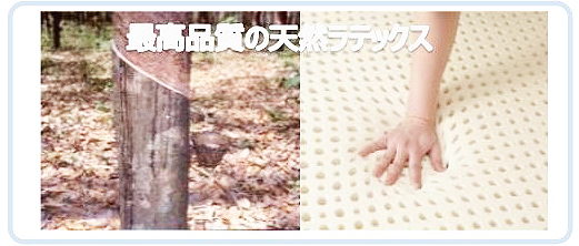 3層構造