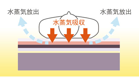 さらフェース