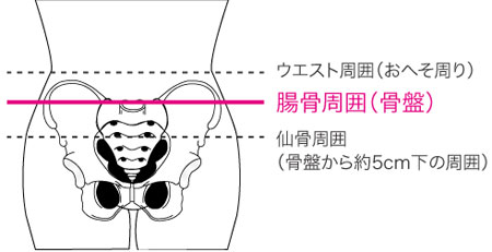 腰痛帯ベルト メッシュアクションギア クラシック
