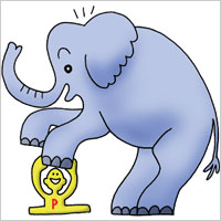 象が乗っても底づきしません
