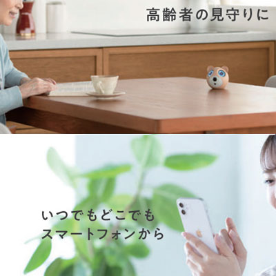 ぴよかめの説明