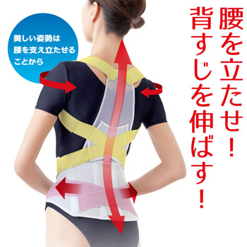 お医者さんの腰から正す姿勢ベルトの説明