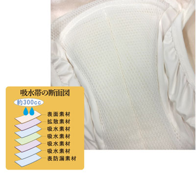 婦人用失禁ショーツ デラックス安心ショーツ 300（H494） 給水量300ccの説明