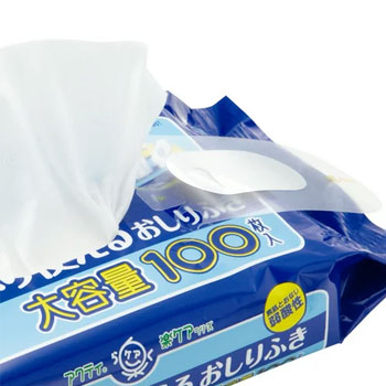トイレに流せるたっぷり使えるおしりふき 100枚入り 1ケース（1袋100枚入り×24袋）
