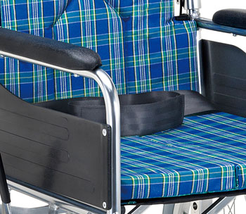 安全ベルト付き