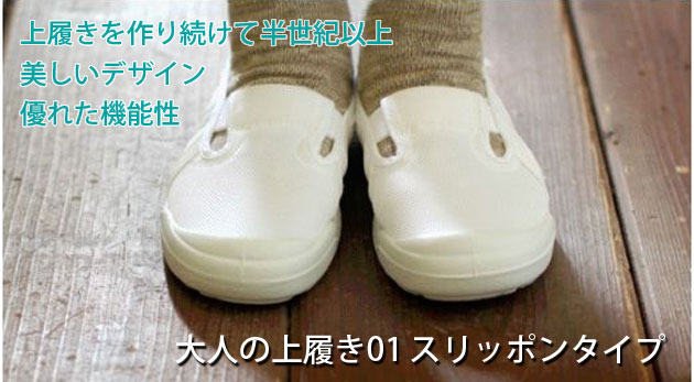 大人の上履き01 スリッポンタイプ 2足セット /></p><div class=