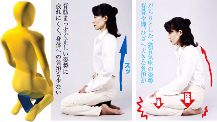 正座楽 携帯用正座椅子 正座椅子 介護用品の通販 販売店 品揃え日本最大級 快適空間スクリオ