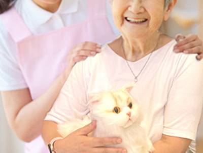 なでなでねこちゃんEX　エレガンスの説明