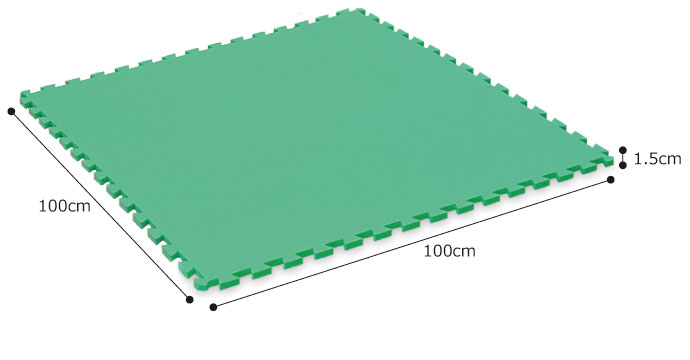 最終価格プロイロン　EVAマット