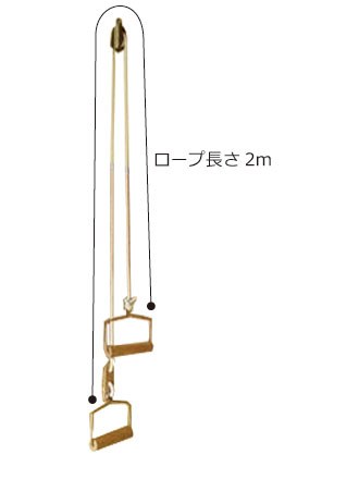サイズ