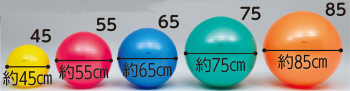 ボディーボール バランスボール 介護リハビリ トレーニング 介護用品の通販 販売店 品揃え日本最大級 快適空間スクリオ